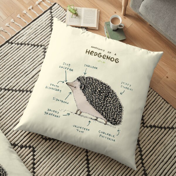 Anatomy of a Hedgehog Floor Pillow