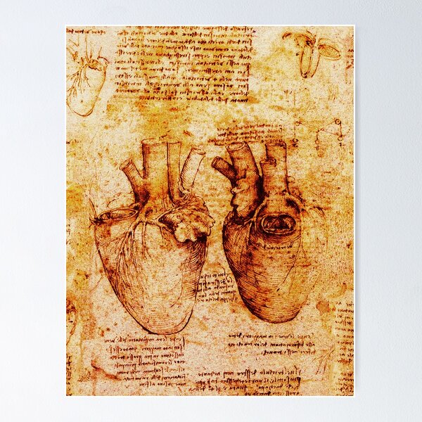 Item preview, Heart And Its Blood Vessels. Leonardo Da Vinci,Anatomic Study 2,Brown designed and sold by BulganLumini.