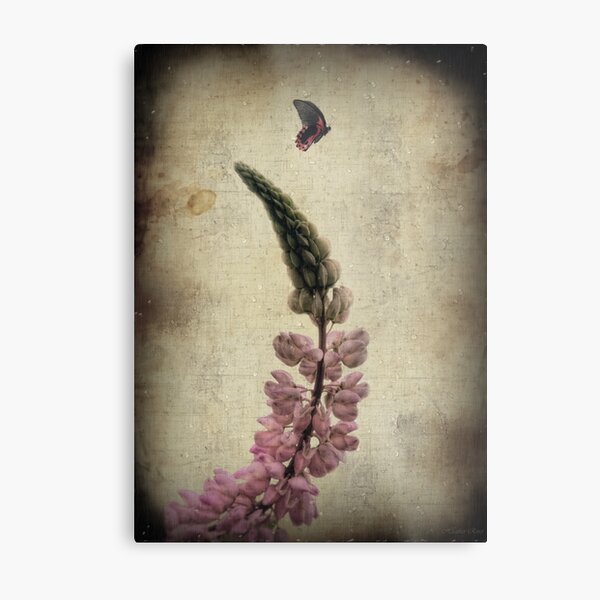 Summer Zen Metal Print