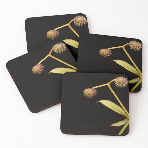 Item preview, Macro of Wild Plant Seeds with Leaves on Black Background designed and sold by Goiko7Margarita.