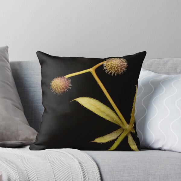 Item preview, Macro of Wild Plant Seeds with Leaves on Black Background designed and sold by Goiko7Margarita.