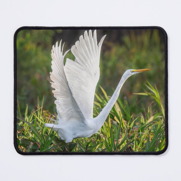 Item preview, Great Egret Pantanal Brazil designed and sold by PhotoArt by Joan Carroll.