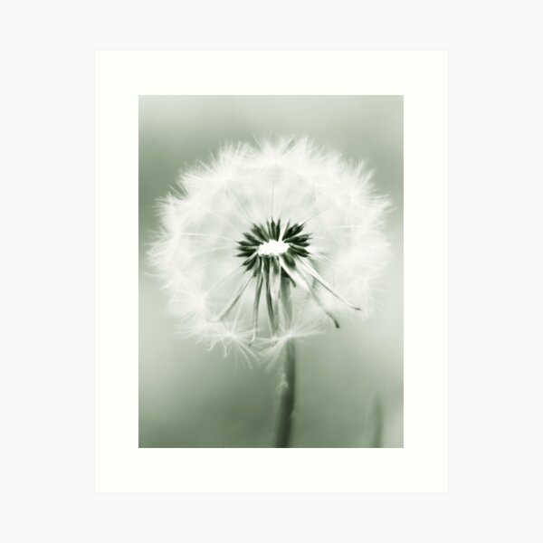 Item preview, Dandelions fill my yard designed and sold by Angela King Jones.
