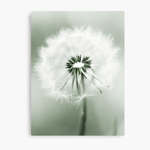 Item preview, Dandelions fill my yard designed and sold by Angela King Jones.