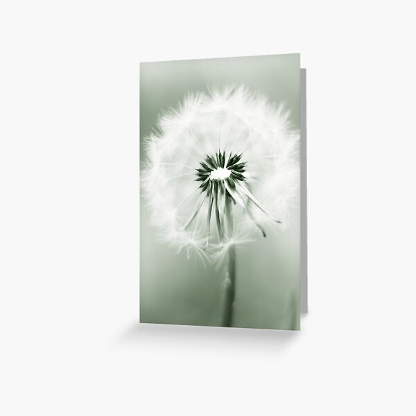Item preview, Dandelions fill my yard designed and sold by Angela King Jones.