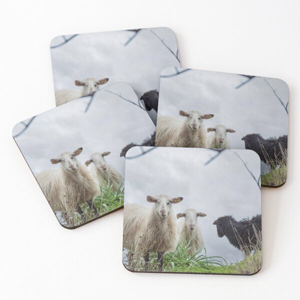 Item preview, Cretian Sheep designed and sold by Imbeccable Images.