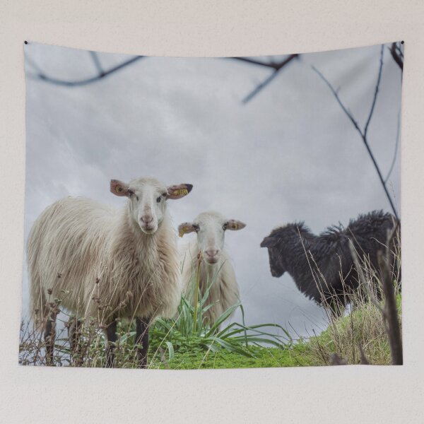 Item preview, Cretian Sheep designed and sold by Imbeccable Images.