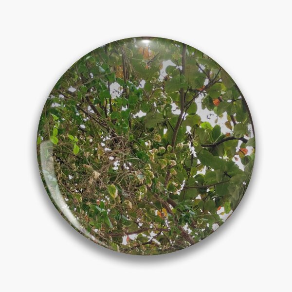 Item preview, Tree designed and sold by Sérgio Rodrigues Garcez Filho.