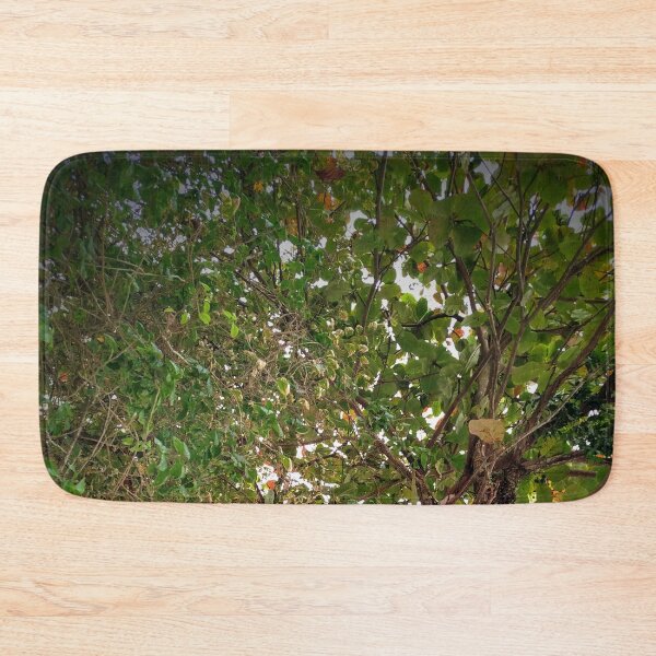 Item preview, Tree designed and sold by Sérgio Rodrigues Garcez Filho.