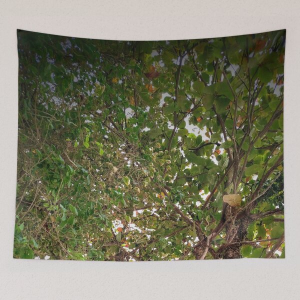 Item preview, Tree designed and sold by Sérgio Rodrigues Garcez Filho.