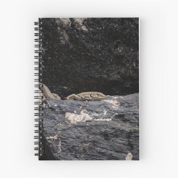 Item preview, Erhard's Wall Lizard designed and sold by Imbeccable Images.