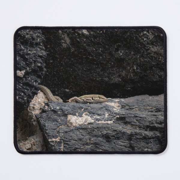 Item preview, Erhard's Wall Lizard designed and sold by Imbeccable Images.
