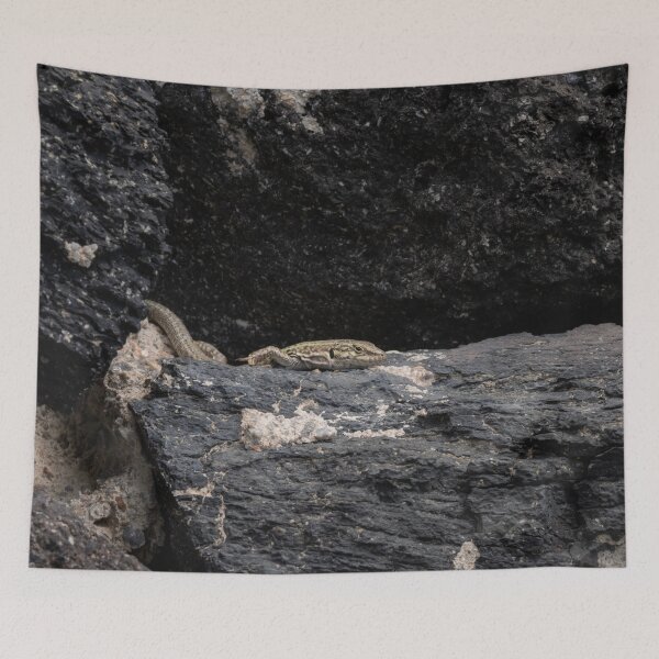 Item preview, Erhard's Wall Lizard designed and sold by Imbeccable Images.