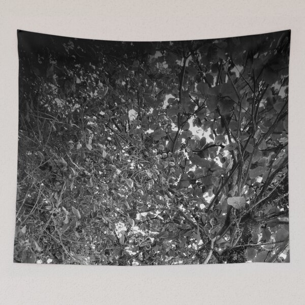 Item preview, Tree designed and sold by Sérgio Rodrigues Garcez Filho.