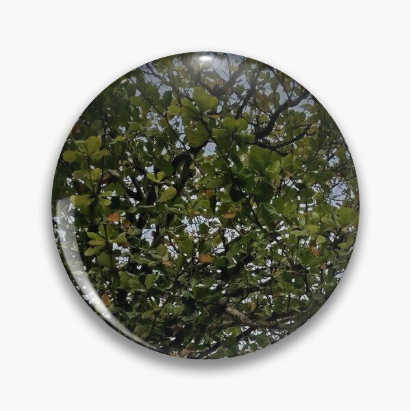 Item preview, Tree designed and sold by Sérgio Rodrigues Garcez Filho.