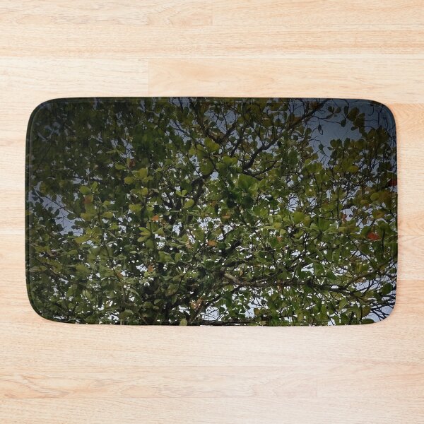 Item preview, Tree designed and sold by Sérgio Rodrigues Garcez Filho.