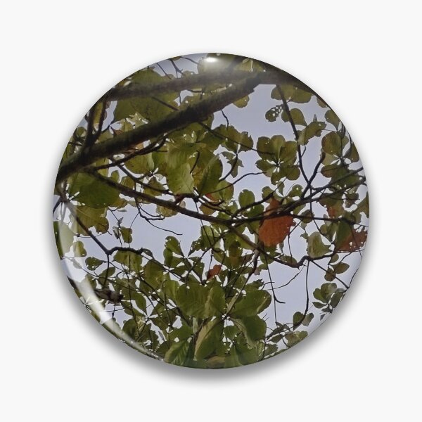 Item preview, Tree designed and sold by Sérgio Rodrigues Garcez Filho.