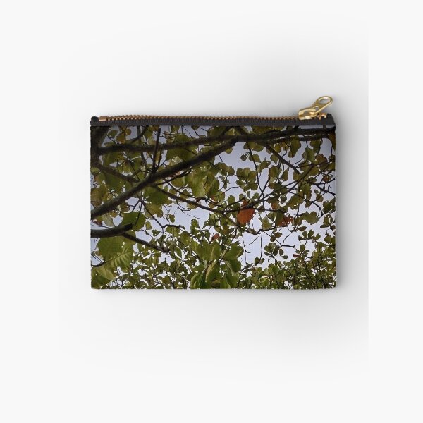 Item preview, Tree designed and sold by Sérgio Rodrigues Garcez Filho.