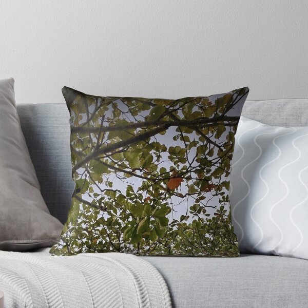 Item preview, Tree designed and sold by Sérgio Rodrigues Garcez Filho.