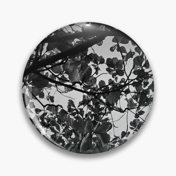 Item preview, Tree designed and sold by Sérgio Rodrigues Garcez Filho.