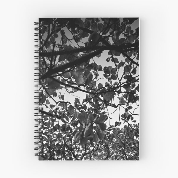 Item preview, Tree designed and sold by Sérgio Rodrigues Garcez Filho.