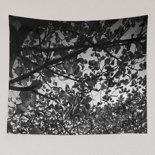 Item preview, Tree designed and sold by Sérgio Rodrigues Garcez Filho.