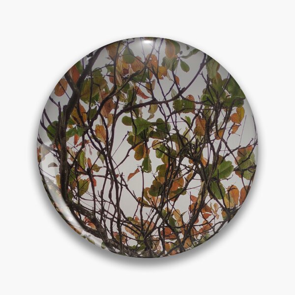 Item preview, Tree designed and sold by Sérgio Rodrigues Garcez Filho.