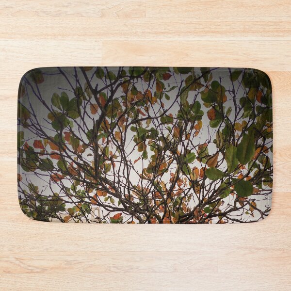 Item preview, Tree designed and sold by Sérgio Rodrigues Garcez Filho.