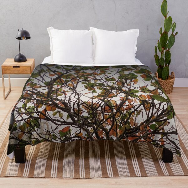 Item preview, Tree designed and sold by Sérgio Rodrigues Garcez Filho.