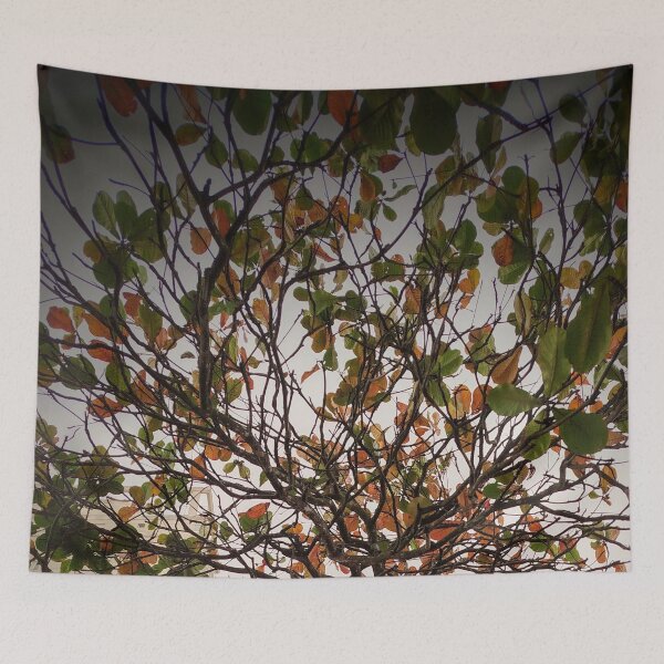 Item preview, Tree designed and sold by Sérgio Rodrigues Garcez Filho.