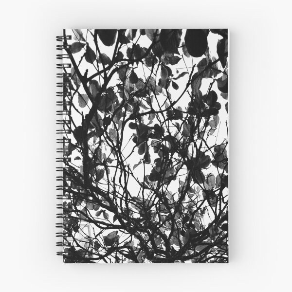 Item preview, Tree designed and sold by Sérgio Rodrigues Garcez Filho.
