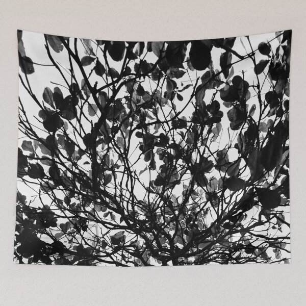 Item preview, Tree designed and sold by Sérgio Rodrigues Garcez Filho.