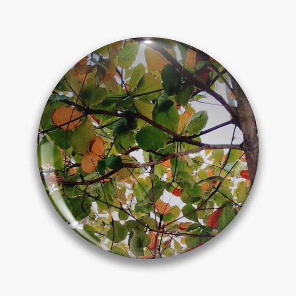 Item preview, Tree designed and sold by Sérgio Rodrigues Garcez Filho.