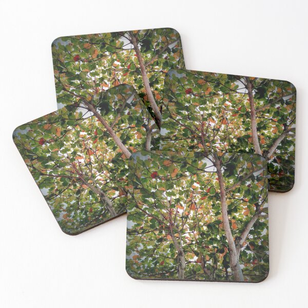 Item preview, Tree designed and sold by Sérgio Rodrigues Garcez Filho.