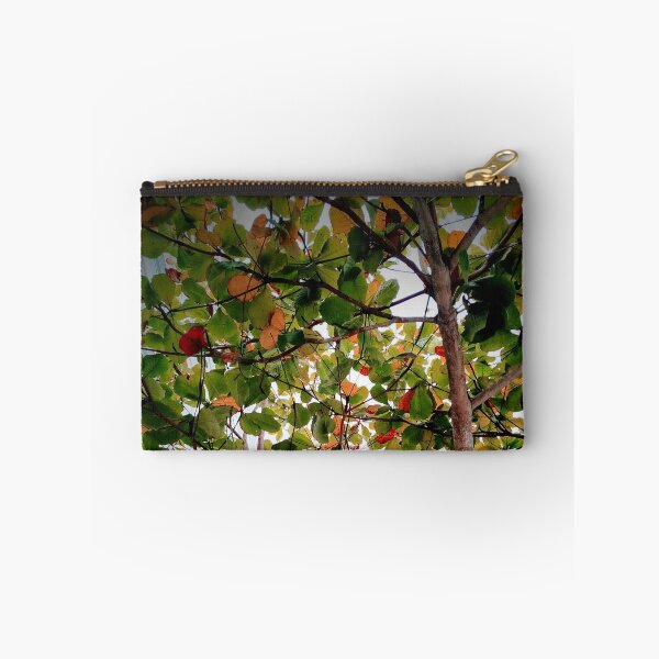 Item preview, Tree designed and sold by Sérgio Rodrigues Garcez Filho.