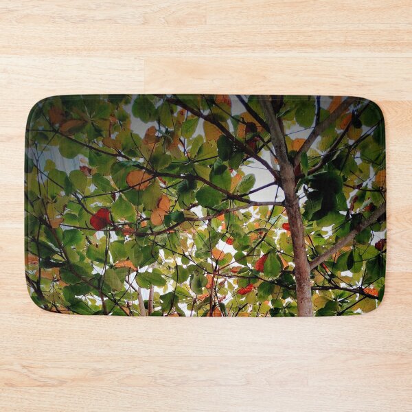 Item preview, Tree designed and sold by Sérgio Rodrigues Garcez Filho.