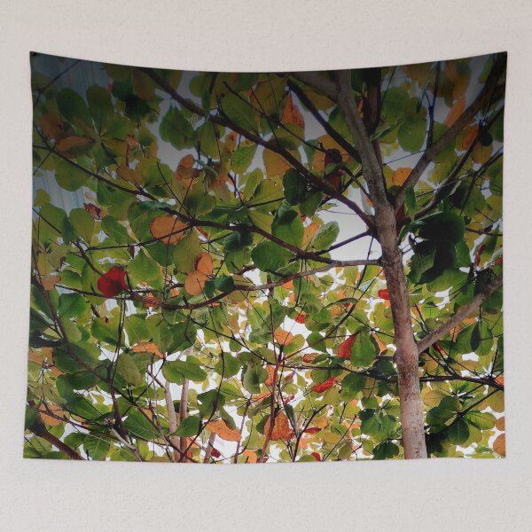 Item preview, Tree designed and sold by Sérgio Rodrigues Garcez Filho.