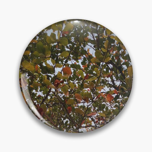 Item preview, Tree designed and sold by Sérgio Rodrigues Garcez Filho.