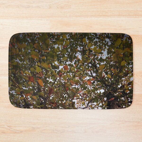 Item preview, Tree designed and sold by Sérgio Rodrigues Garcez Filho.