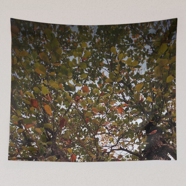 Item preview, Tree designed and sold by Sérgio Rodrigues Garcez Filho.