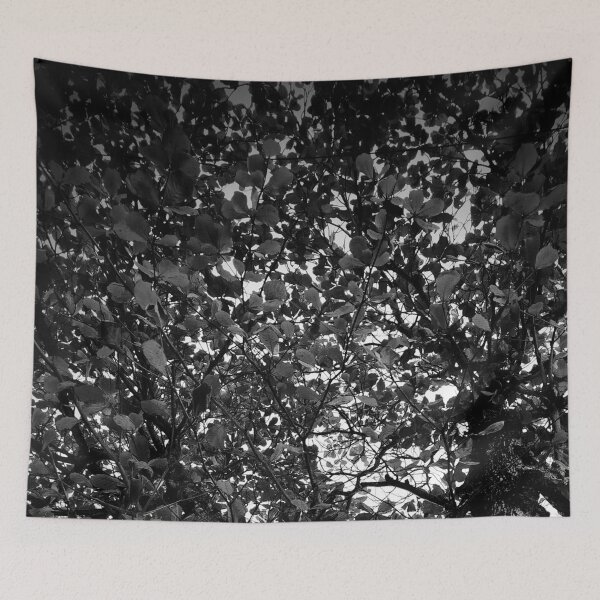 Item preview, Tree designed and sold by Sérgio Rodrigues Garcez Filho.