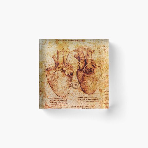 Item preview, Heart And Its Blood Vessels. Leonardo Da Vinci,Anatomic Study 2,Brown designed and sold by BulganLumini.