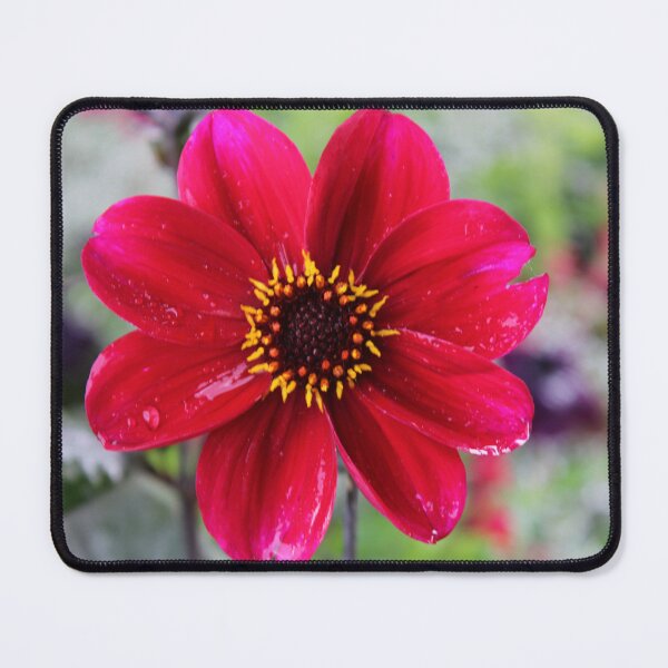 Item preview, Pink flower in the rain designed and sold by idavnilson.