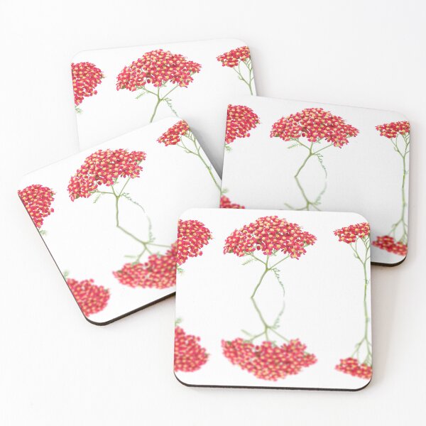 Item preview, Achillea  'Fanal'  Yarrow  Syn.  Achillea 'The Beacon'  designed and sold by Chris Burrows.