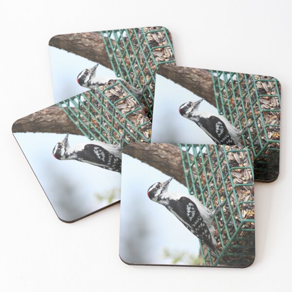 Item preview, Downy Woodpecker eating from a hanging feeder in Ontario, Canada designed and sold by AlishaWatson.
