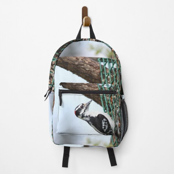 Item preview, Downy Woodpecker eating from a hanging feeder in Ontario, Canada designed and sold by AlishaWatson.