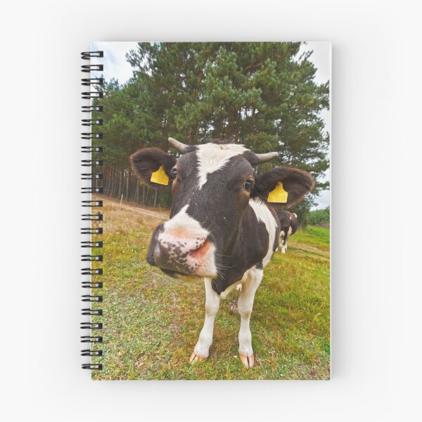 Item preview, Cow looking at camera designed and sold by Lukasz Szczepanski.