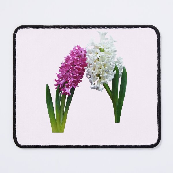 Item preview, Hyacinths In Love designed and sold by Susan Savad.