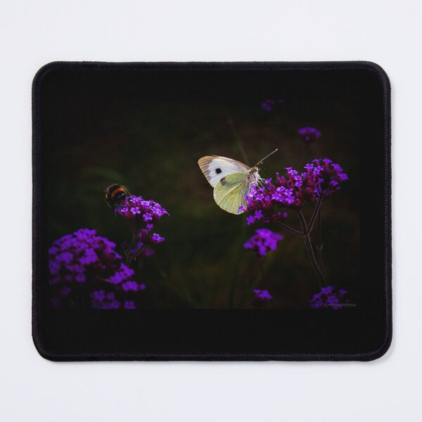 Item preview, The Butterfly and the Bee designed and sold by Andymat99.