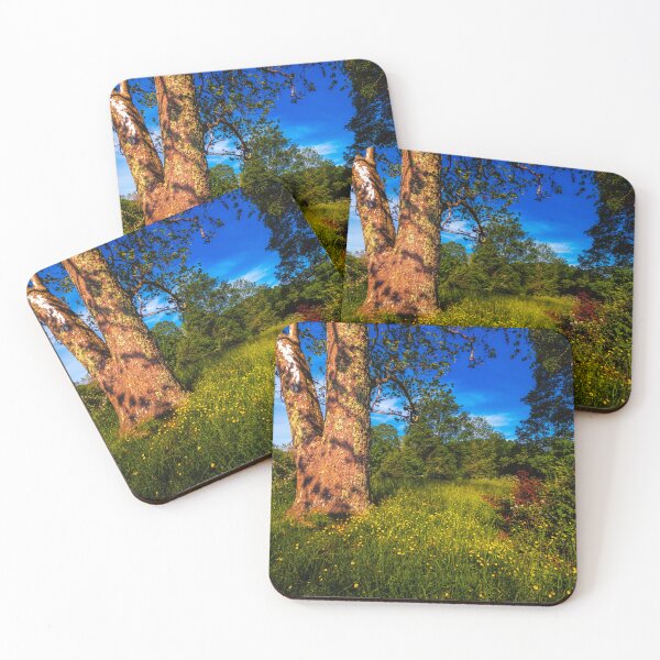 Item preview, Sunlit Meadow designed and sold by Jim Love.